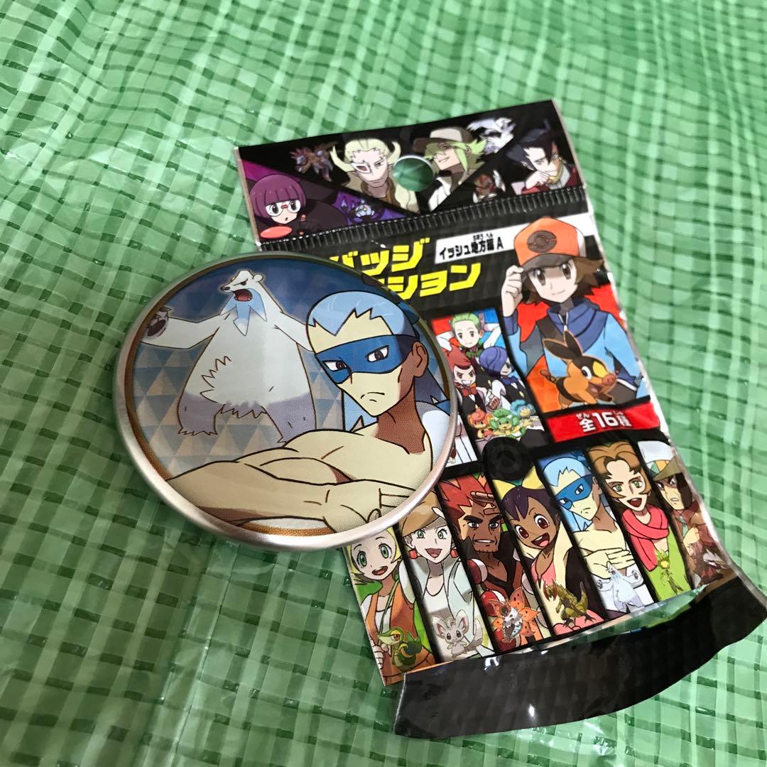 ポケモンセンター 缶バッジコレクション ハチク ツンベアー イッシュ