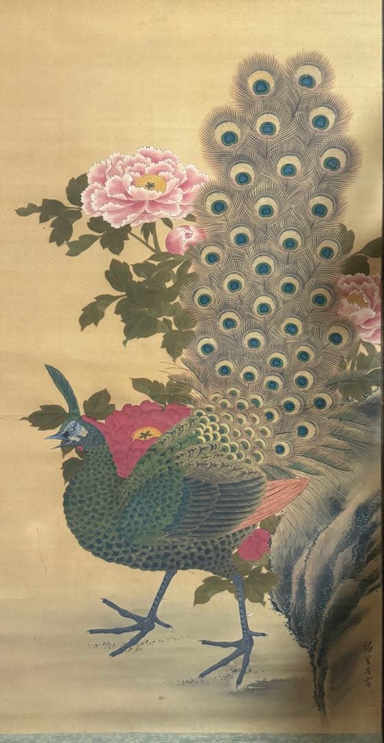 孔雀牡丹の圖 絹本肉筆 落款 掛軸 古美術 送料込み250716 - メルカリ
