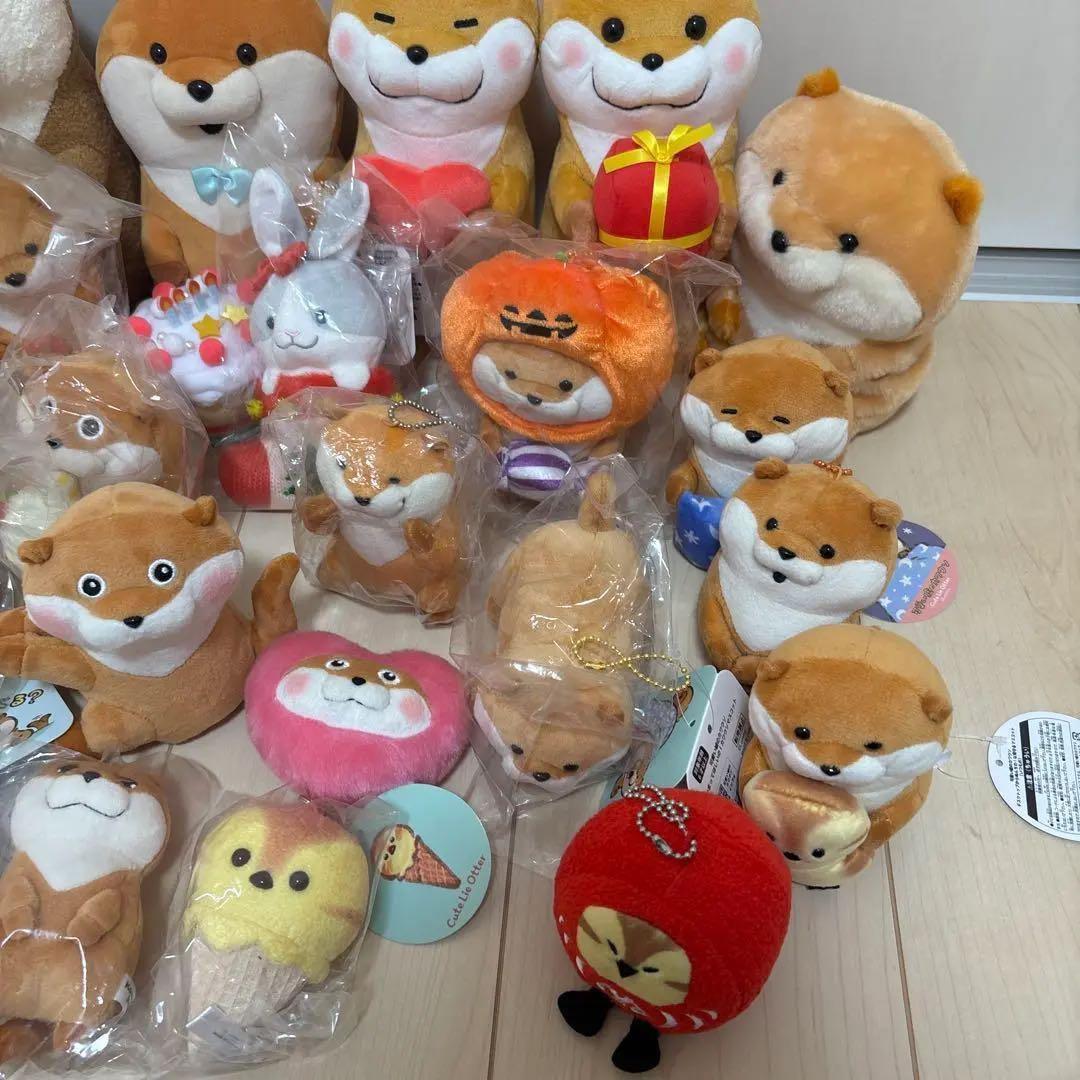 可愛い嘘のカワウソ ぬんちゃん ぬいぐるみ マスコット レア - メルカリ