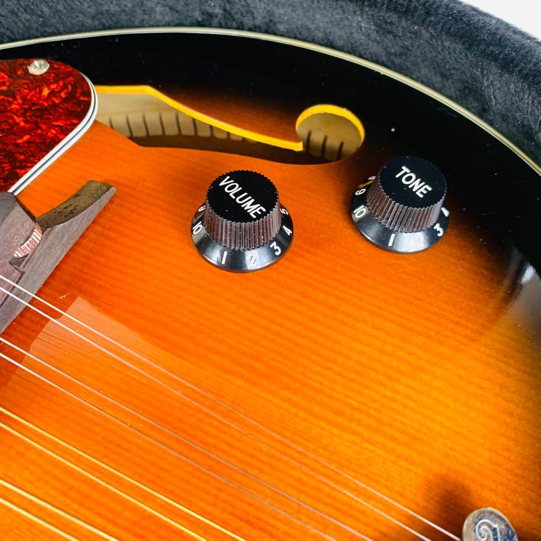 美品】Aria AM-20E エレキマンドリン｜ピックアップ搭載｜ケース付き