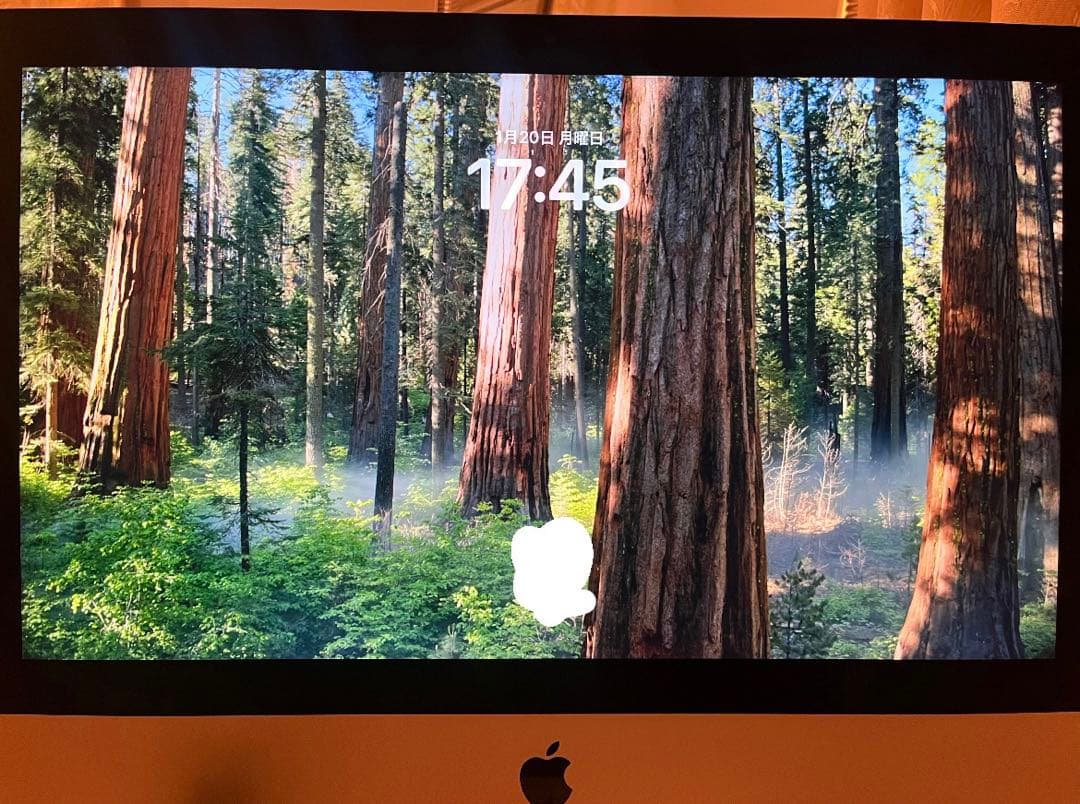 Apple iMac 21.5inch 2019モデル