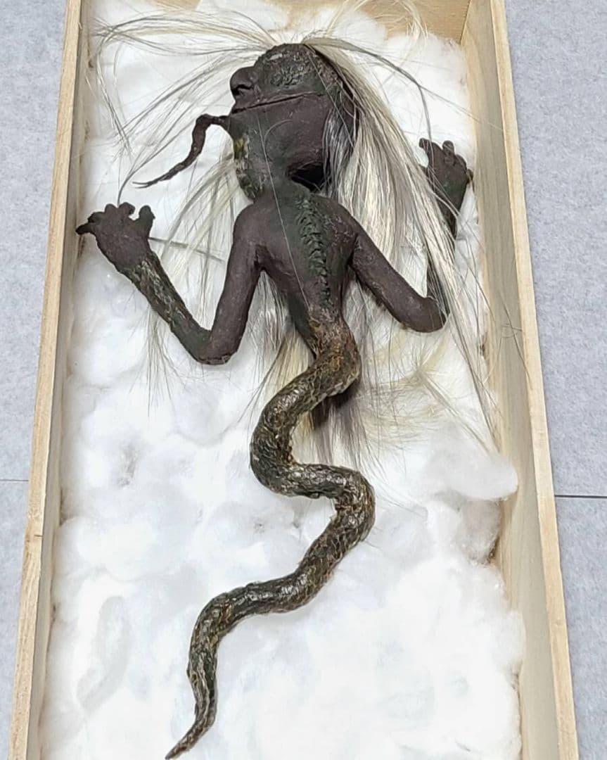 一点物 妖怪 蛇女 ミイラ ひらくち様 怪奇標本 ミイラ 化物語 - メルカリ