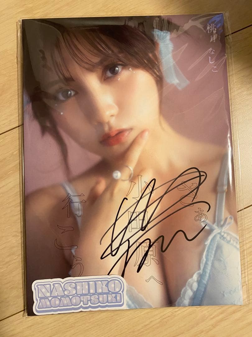 桃月なしこ写真集 「未完」「武装なしこ」サイン入り他セット