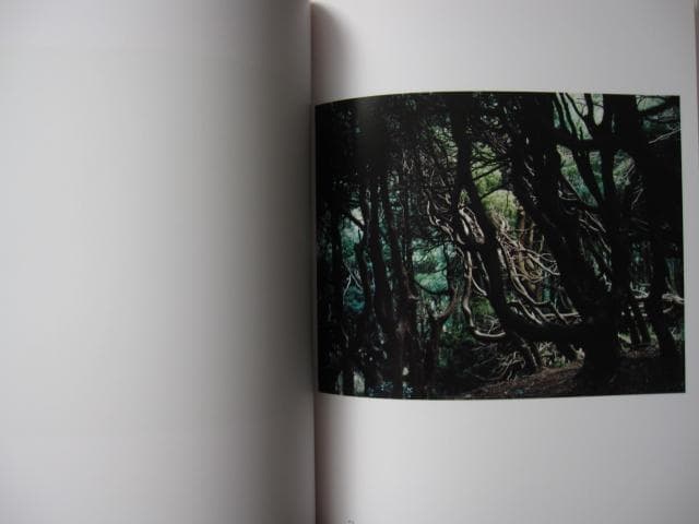 意識の流れ Stream of consciousness 鈴木理策 チラシ付き - メルカリ