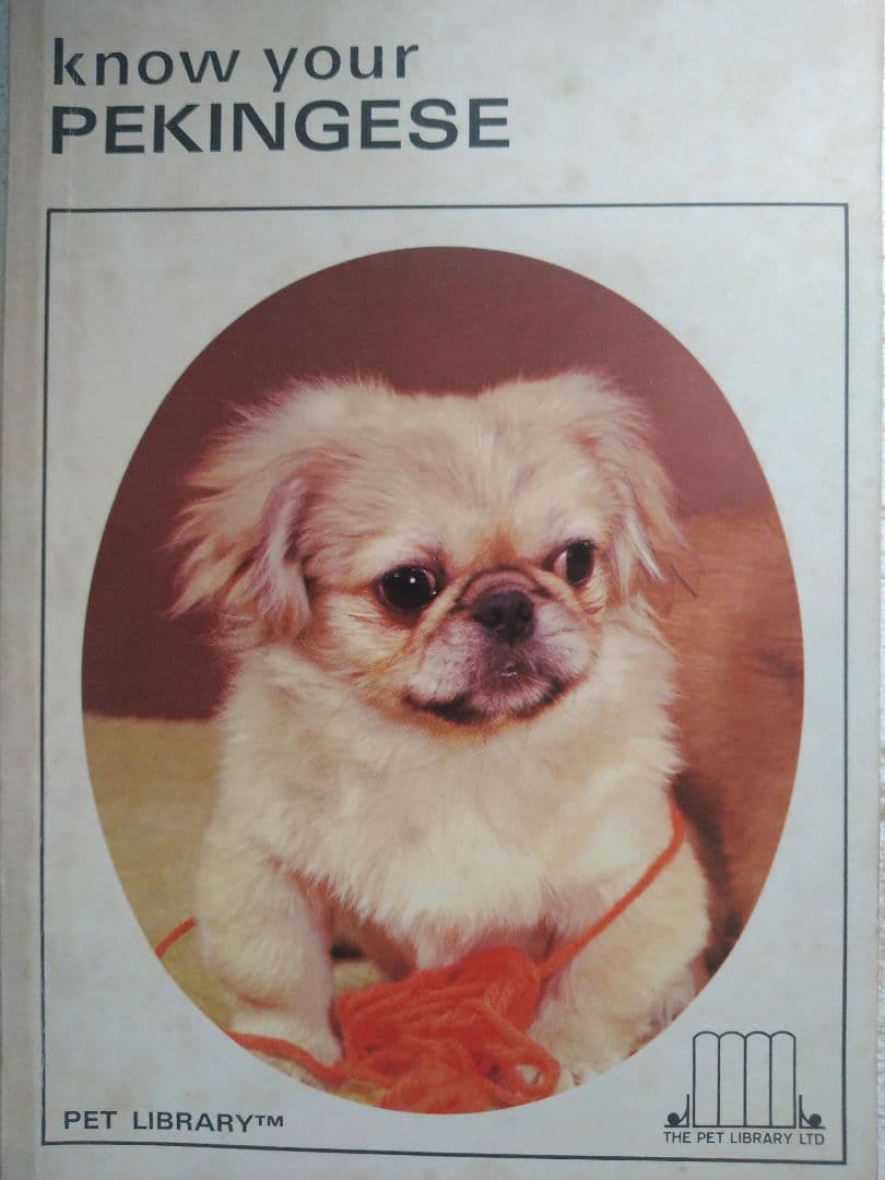 ペキニーズ書籍4冊セット 本 洋書 写真 pekingese PEKINGESE - メルカリ