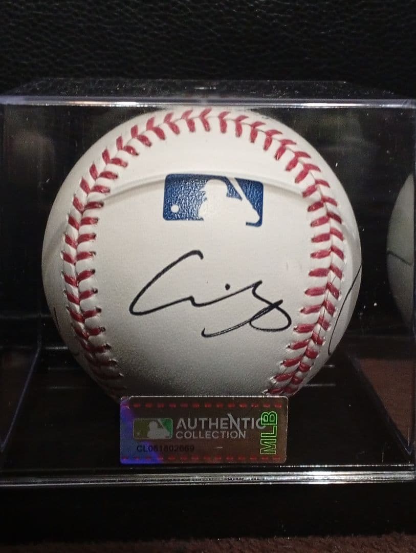 大谷翔平 佐々木朗希 山本由伸 直筆サインボール 正規 MLB公式球