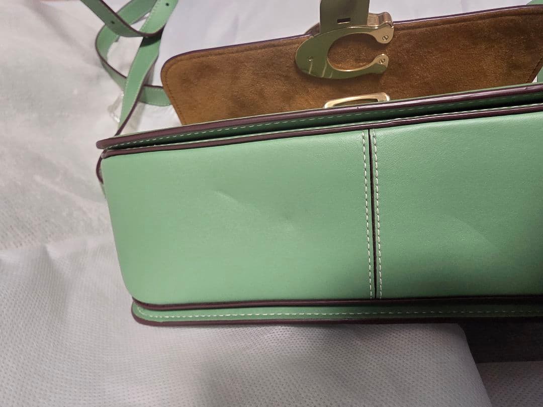 お値下げ❗美品COACH x Disney ショルダーバッグ グリーン - メルカリ