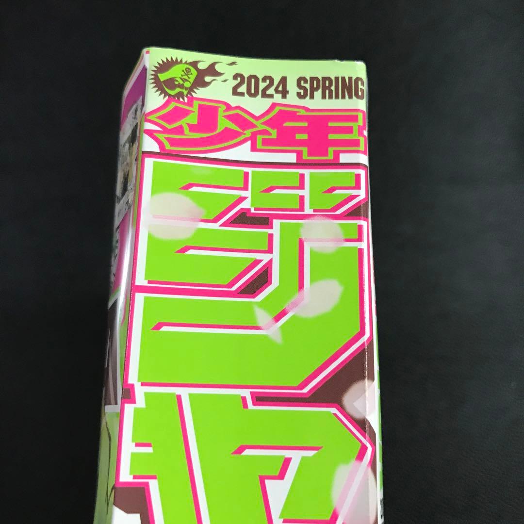 ジャンプGIGA ギガ ヒロアカ 2024年SPRING 僕のヒーローアカデミア