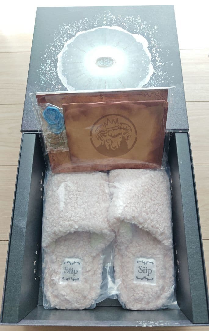 siip ガイア 完全生産限定盤 即日発送