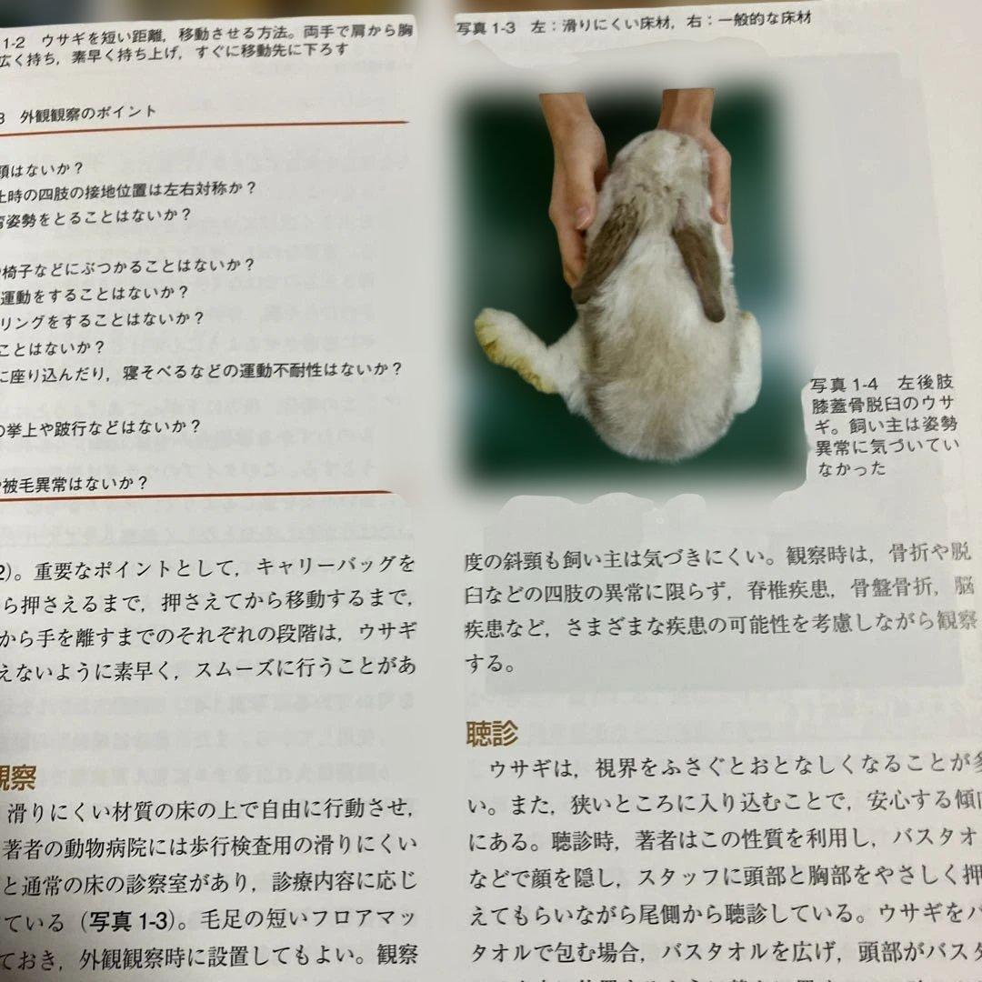 定価15400円　できる!!ウサギの診療　沖田将人　エデュワードプレス