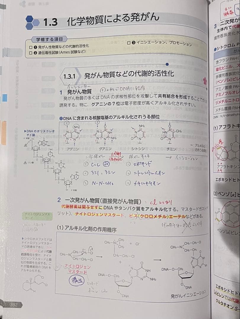 第110回薬剤師国家試験 青本青問 薬ゼミ