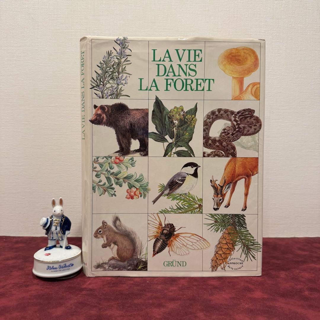 223⑦1988年フランス語版図鑑 洋書古書 ジャンクジャーナル ボタン