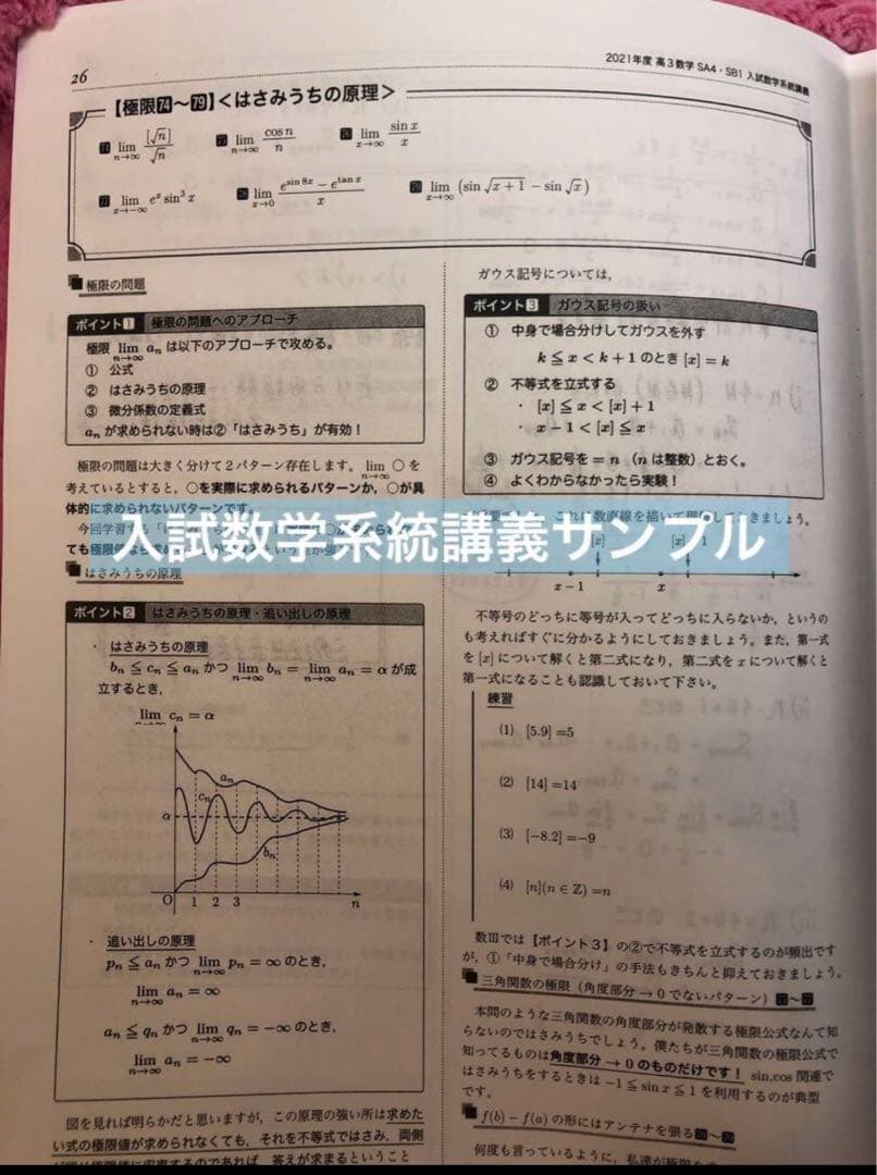 鉄緑会 小橋先生 高3数学 入試数学系統講義 理系数学分野別