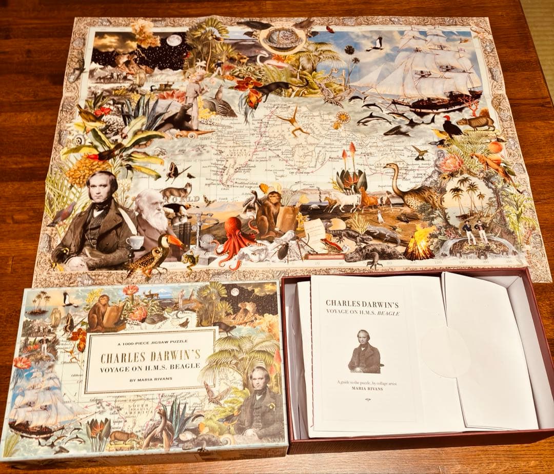 大英博物館 チャールズ・ダーウィン ジグソーパズル 1000ピース