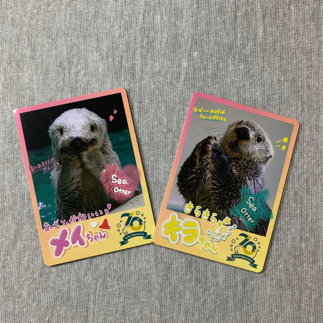 鳥羽水族館 70周年記念 コレクションカード メイ キラ - メルカリ
