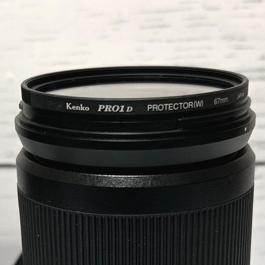 レンズ(ズーム) NIKKOR Z24-200/4-6.3 VR