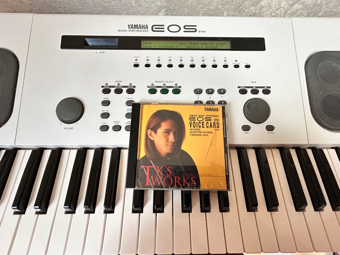 もちやんさん専用】EOS B700 シンセサイザー用Voice Card ドローン系