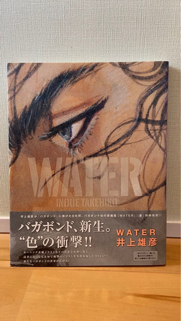 バガボンド 画集 墨 water セット 楽天市場】バガボンド画集『墨』＆『WATER』セット 2025年9月重版 井上