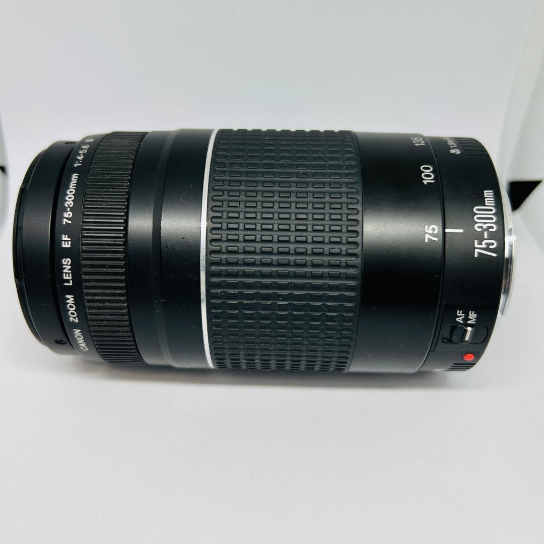 Canon EF 75-300mm f/4-5.6 III 望遠ズームレンズ