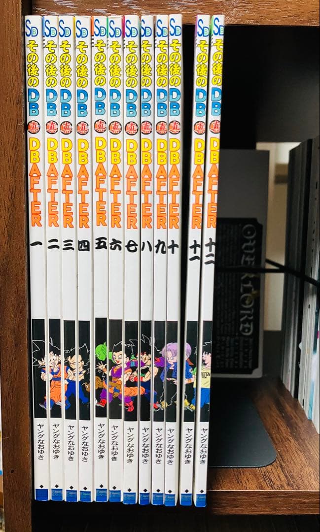 【希少】同人誌　その後のDB 真　DBAFTER 12冊セット　ヤングなおゆき