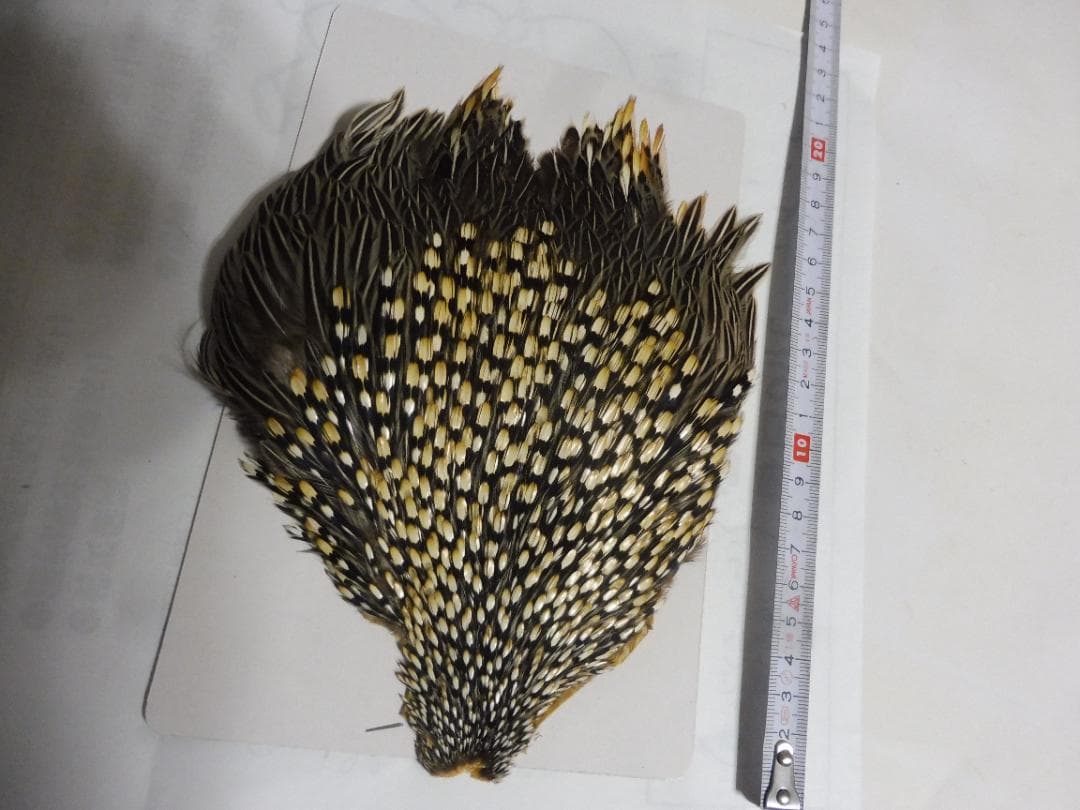 ジャングルコックのケープ　フライタイイング S1.jpg