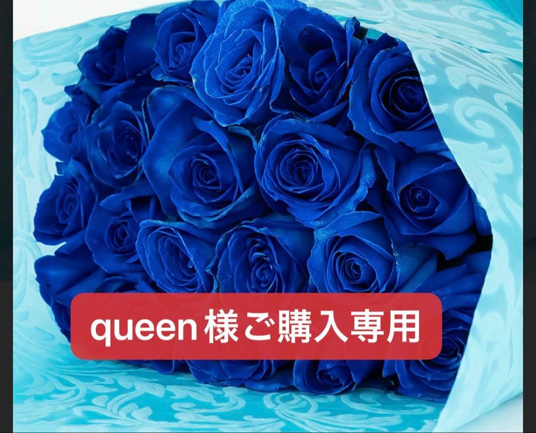 queen様のご購入専用ページ UNSEEN QUEEN（クイーン未公開写真集）』（輸入販売/購入特典付