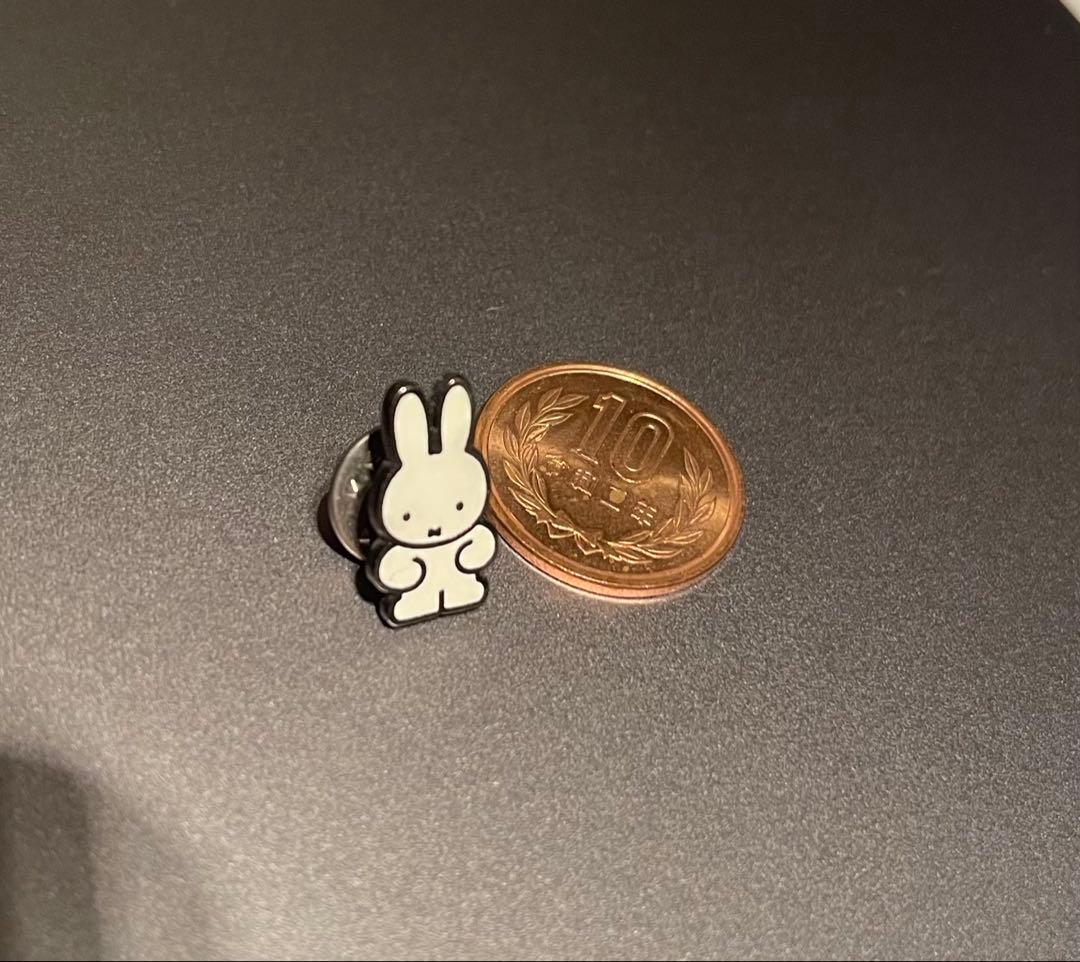激レア】全裸ミッフィー ピンバッジ 大阪関西万博EXPO2025 - メルカリ