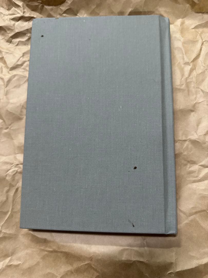 洋書 NOX INFERNUS The Book of Amber A. W.Dray