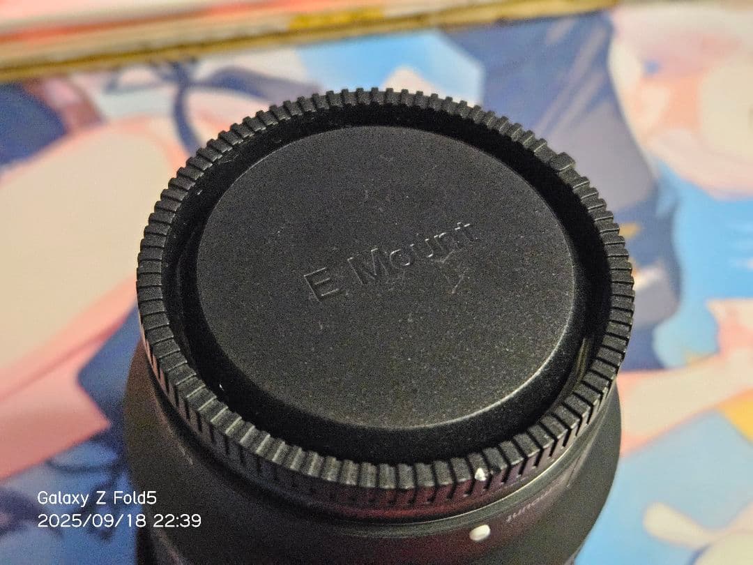 SONY FE 28-70mm F3.5-5.6 OSS SEL2870 動作品