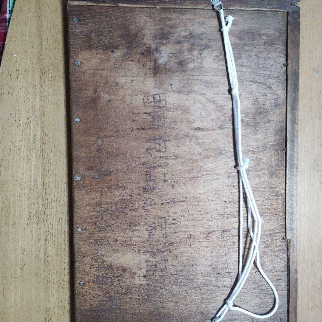 杉山佳　野良猫と家猫