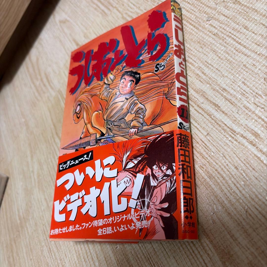 全巻セット】うしおととら 1〜33 巻