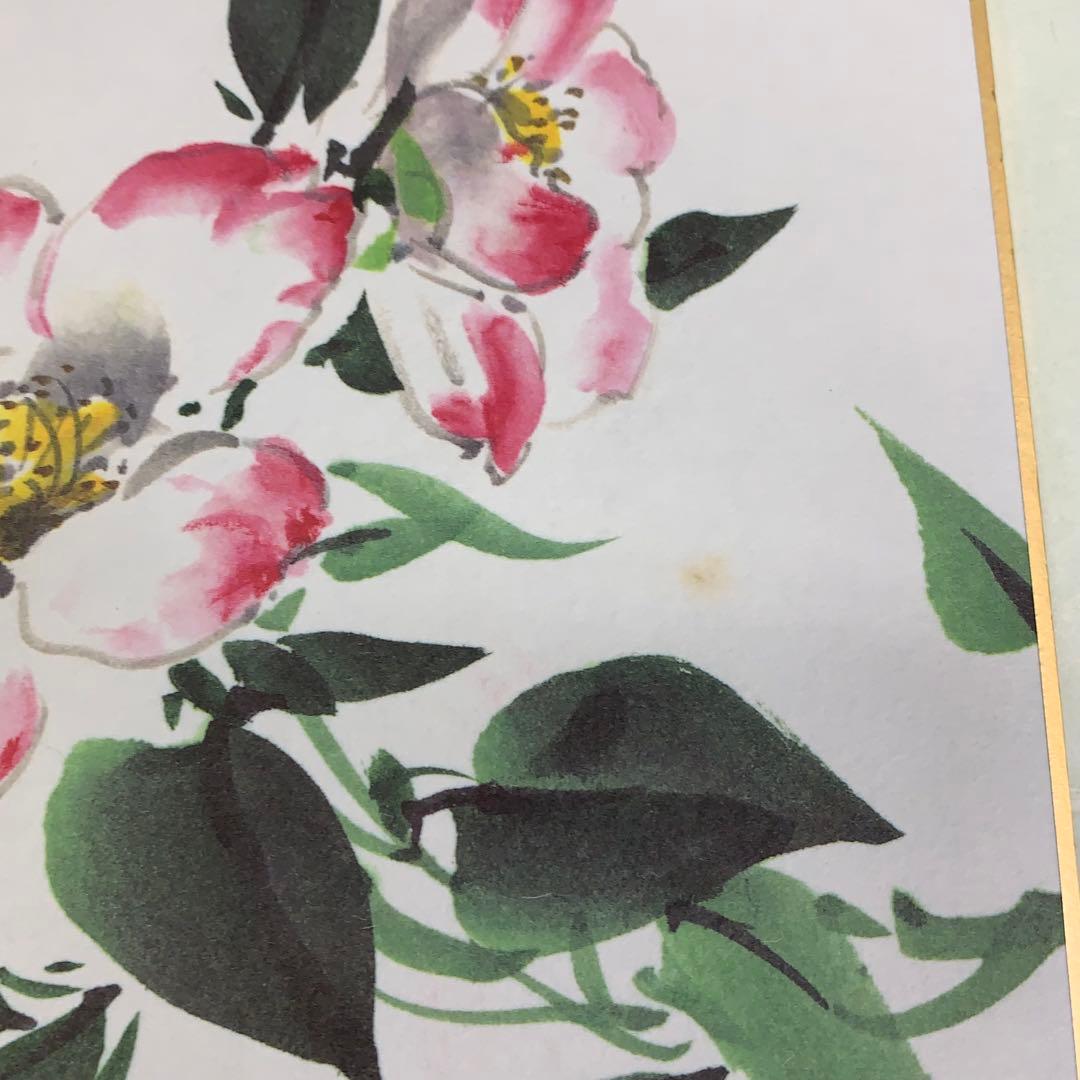 色紙 25枚 須賀玄道 禅画花鳥図色紙 二十四節気 複製 小