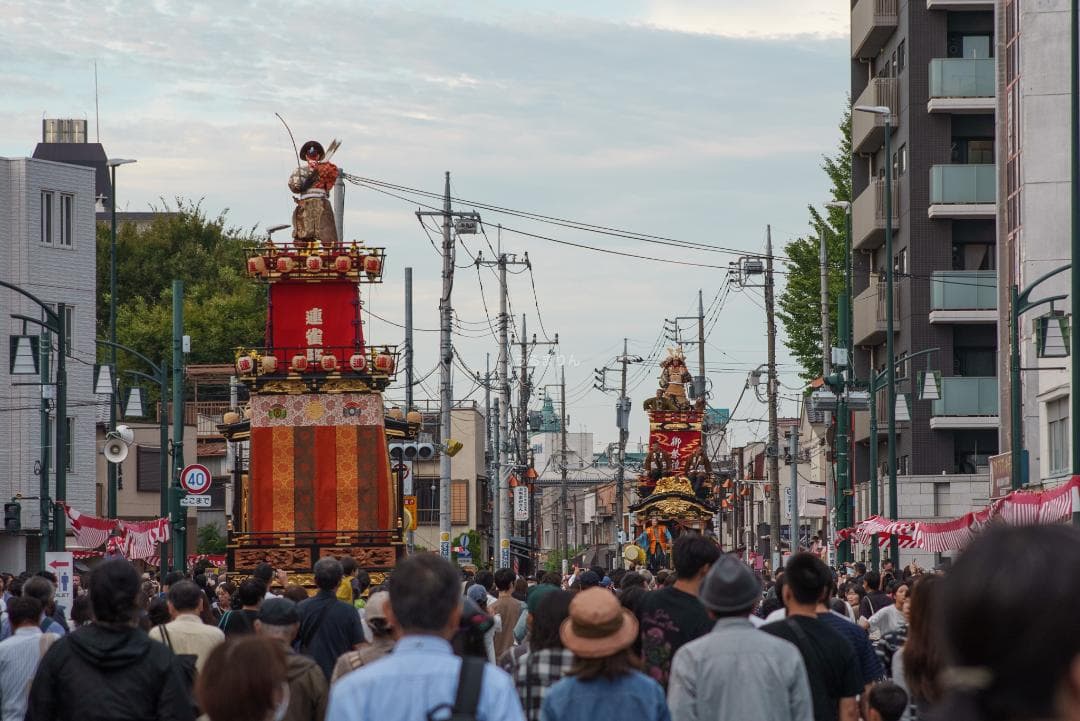 漆黒のシュナイダー！Tele-Xenar 150mm オールドレンズ