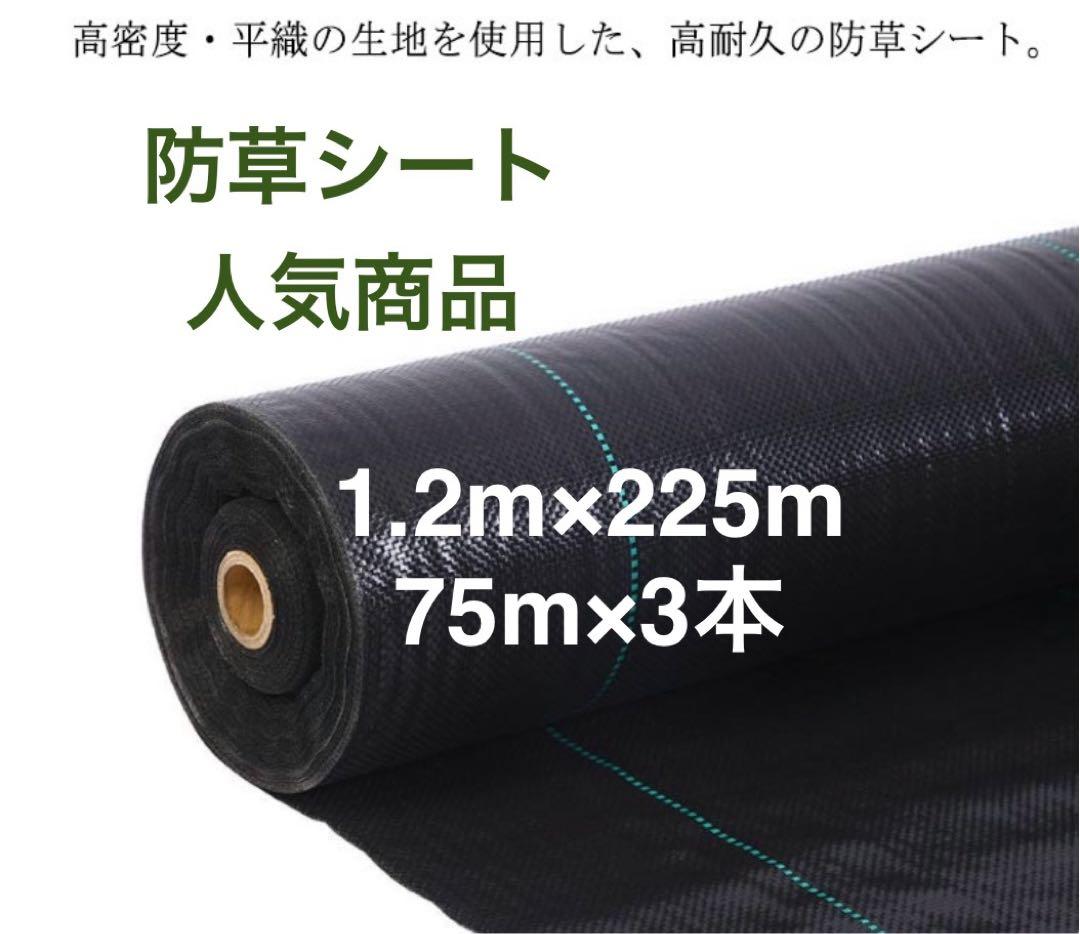 防草シート 高密度・抗菌剤入り1.2m×225m (耐久性4〜6年) 75m×3 防草シート 高密度・抗菌剤入り1.0m×225m (耐久性4〜6年) 75m×3 - メルカリ