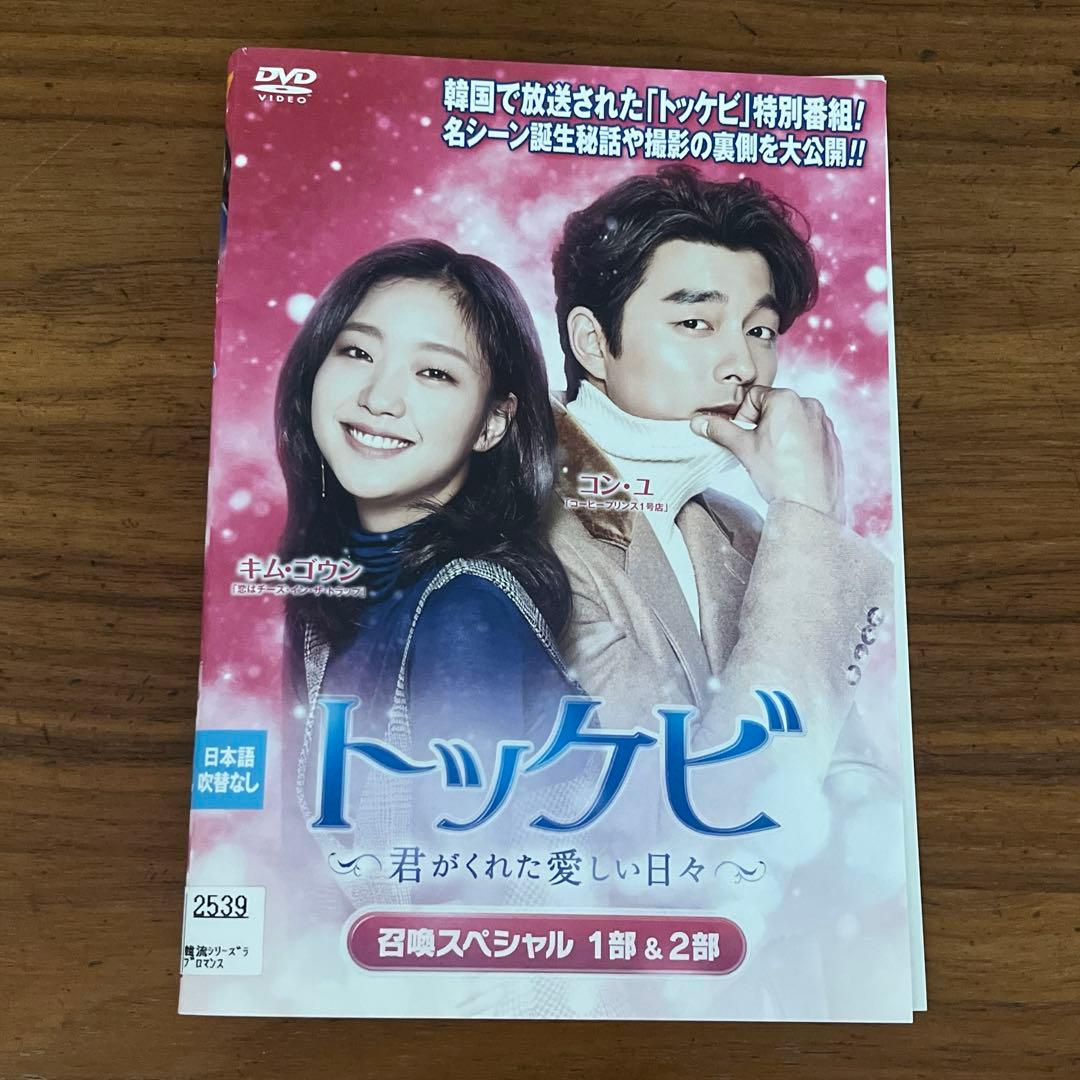 トッケビ 君がくれた愛しい日々 DVD 全15巻＋召喚スペシャル 全巻