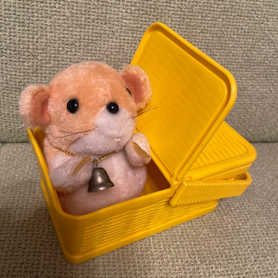 南の島のルーシー✨わんぱくモッシュ - メルカリ