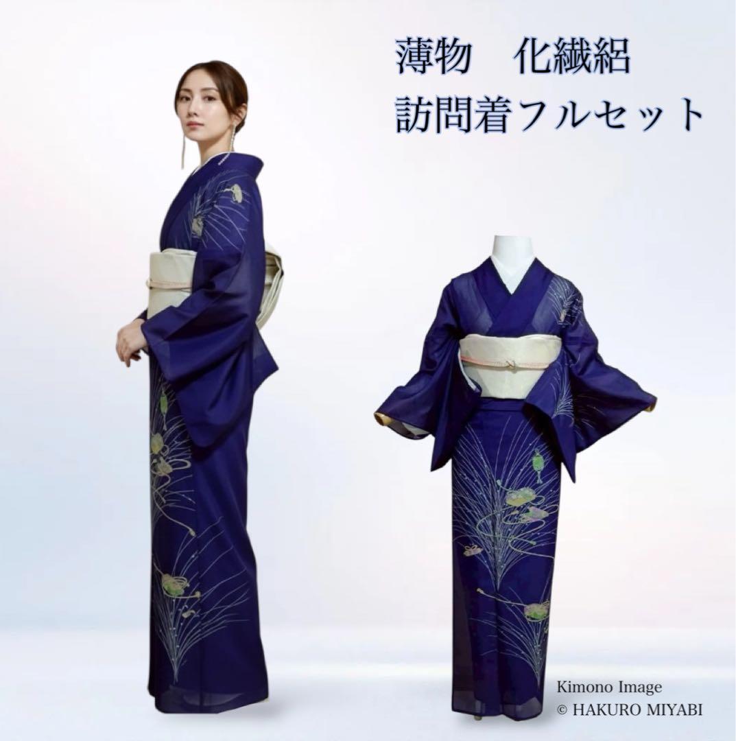 タ 薄物 化繊 絽 夏着物 訪問着 フルセット 4点 S〜M 【ミト】 - メルカリ