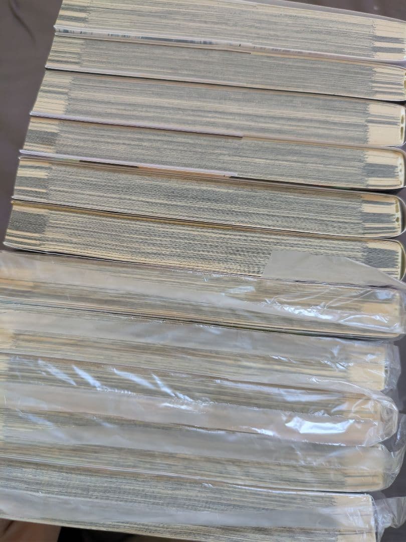 レイリいぬやしき天国大魔境親愛なる僕へ殺意をこめて降り積もれ孤独な死よ