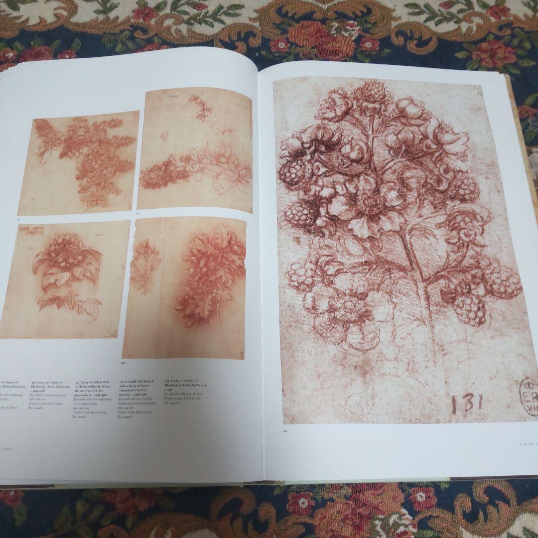 レオナルド・ダ・ヴィンチ : 1452-1519年 全絵画作品・素描集英語版
