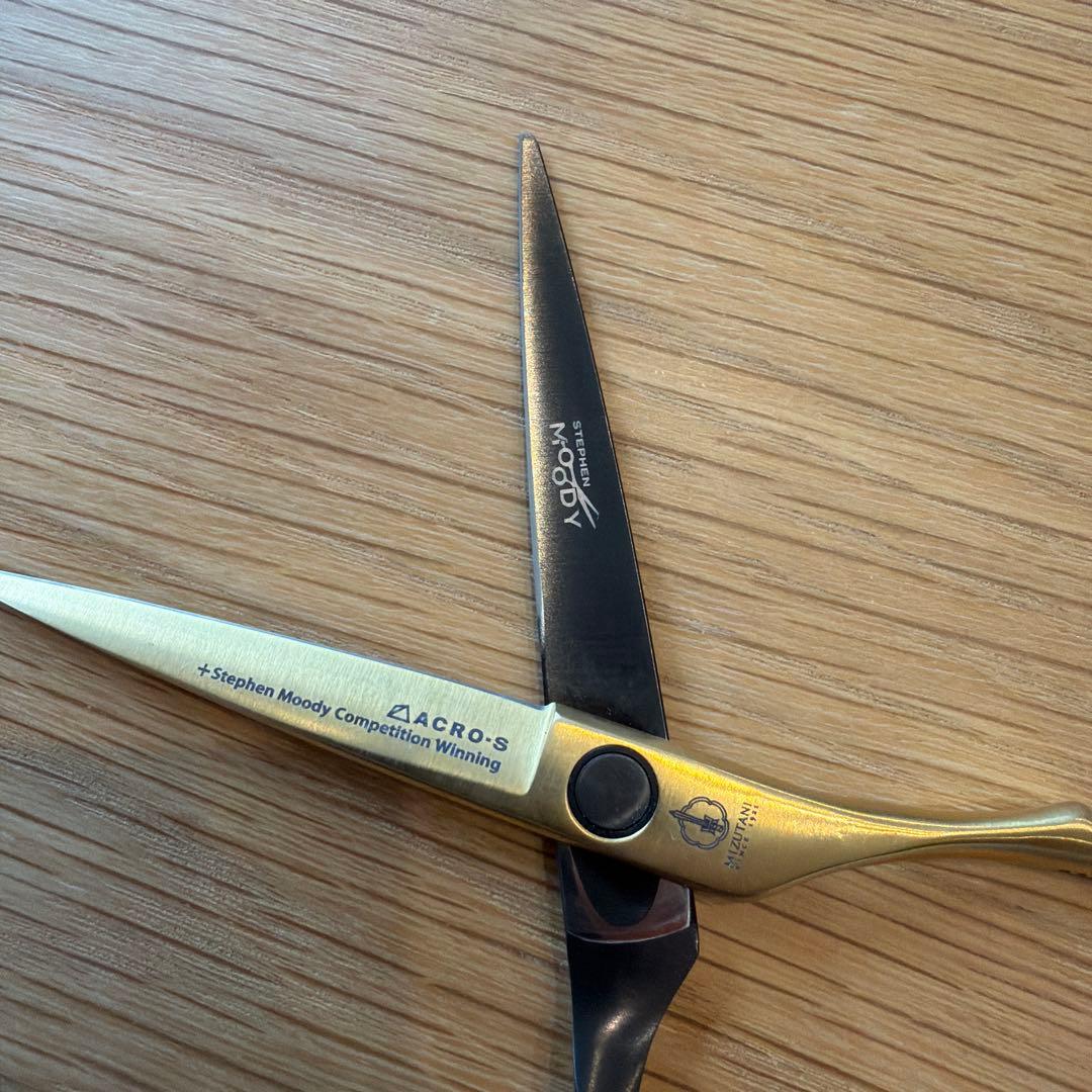 ✨MIZUTANI ✨Stephen Moody シザー5.0