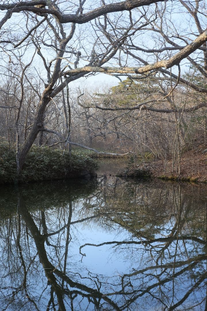 HELIOS-44 58mm F2 silver《MMZ製》【光学美品】