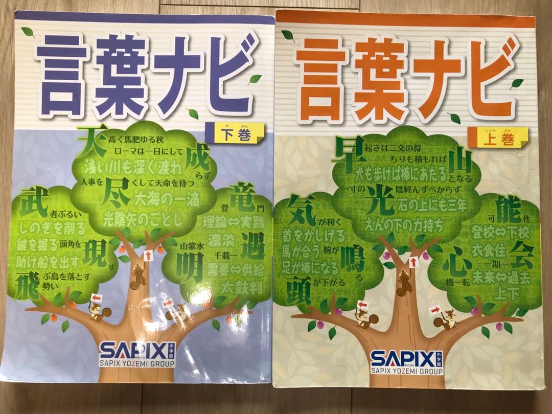 サピックス　言葉ナビ　上下巻　SAPIX SAPIX サピックス 言葉ナビ 上巻/下巻 計2冊 025S2D : ブックス