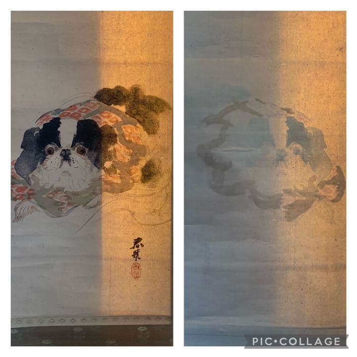 円山四条派 山元春挙 春挙 狆の図 犬絵 犬の絵 掛軸 日本画 - メルカリ