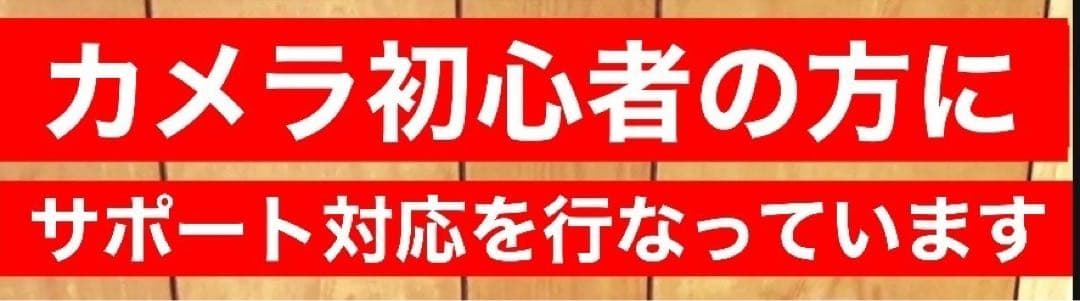 期間限定価格！Canon EOSRシリーズに最適！望遠レンズ！MF購入お早めに