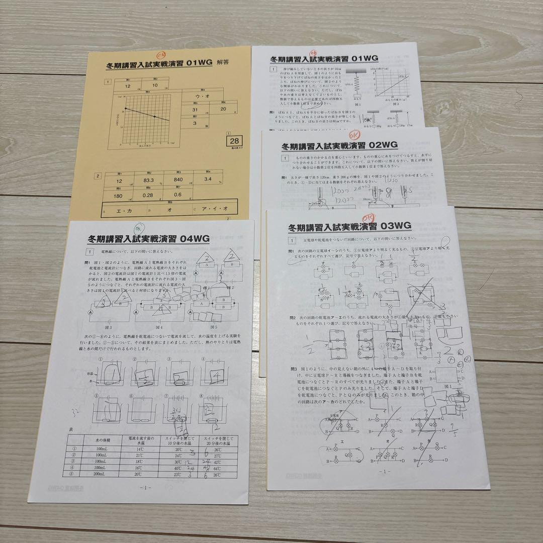 サピックス冬期講習6年 理科入試実戦演習プリント全8回開成 難関中