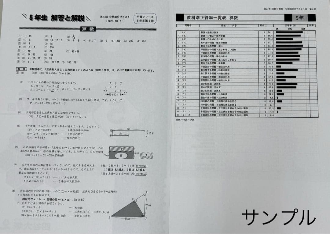 四谷大塚 組分けテスト 5年生 4年分 過去問・解答/解説資料集セット