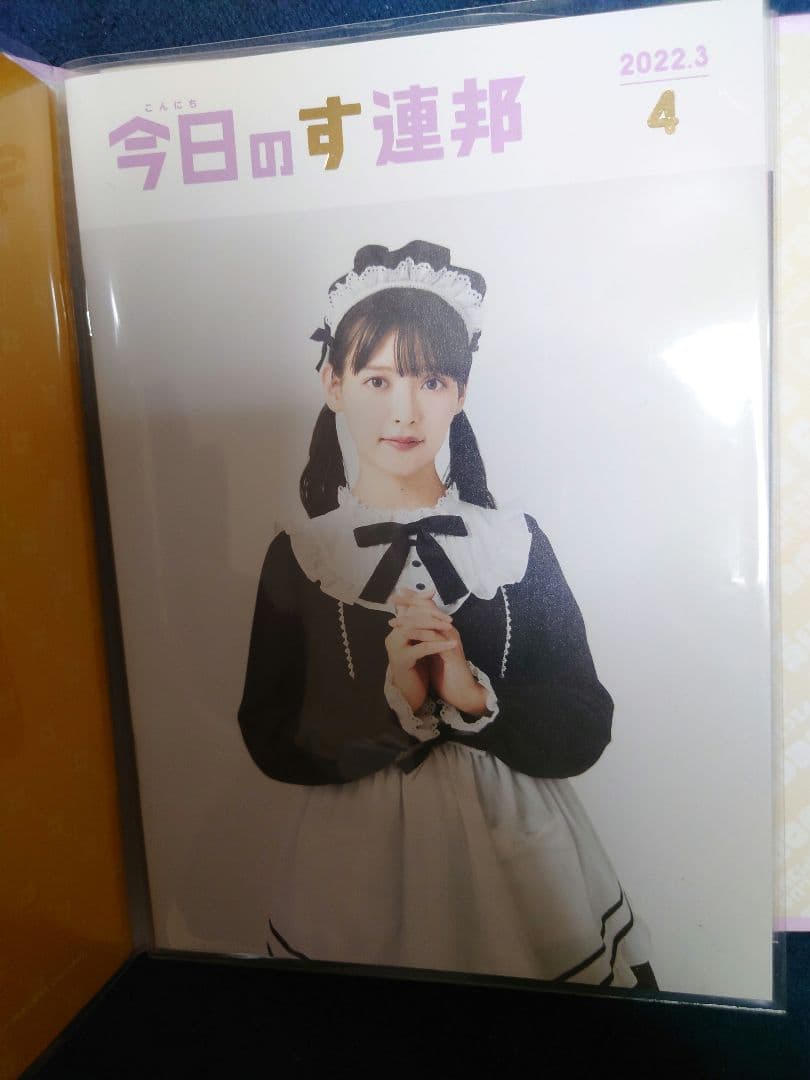 上坂すみれ ファンクラブ会報誌 全11部 専用バインダー付属 - メルカリ