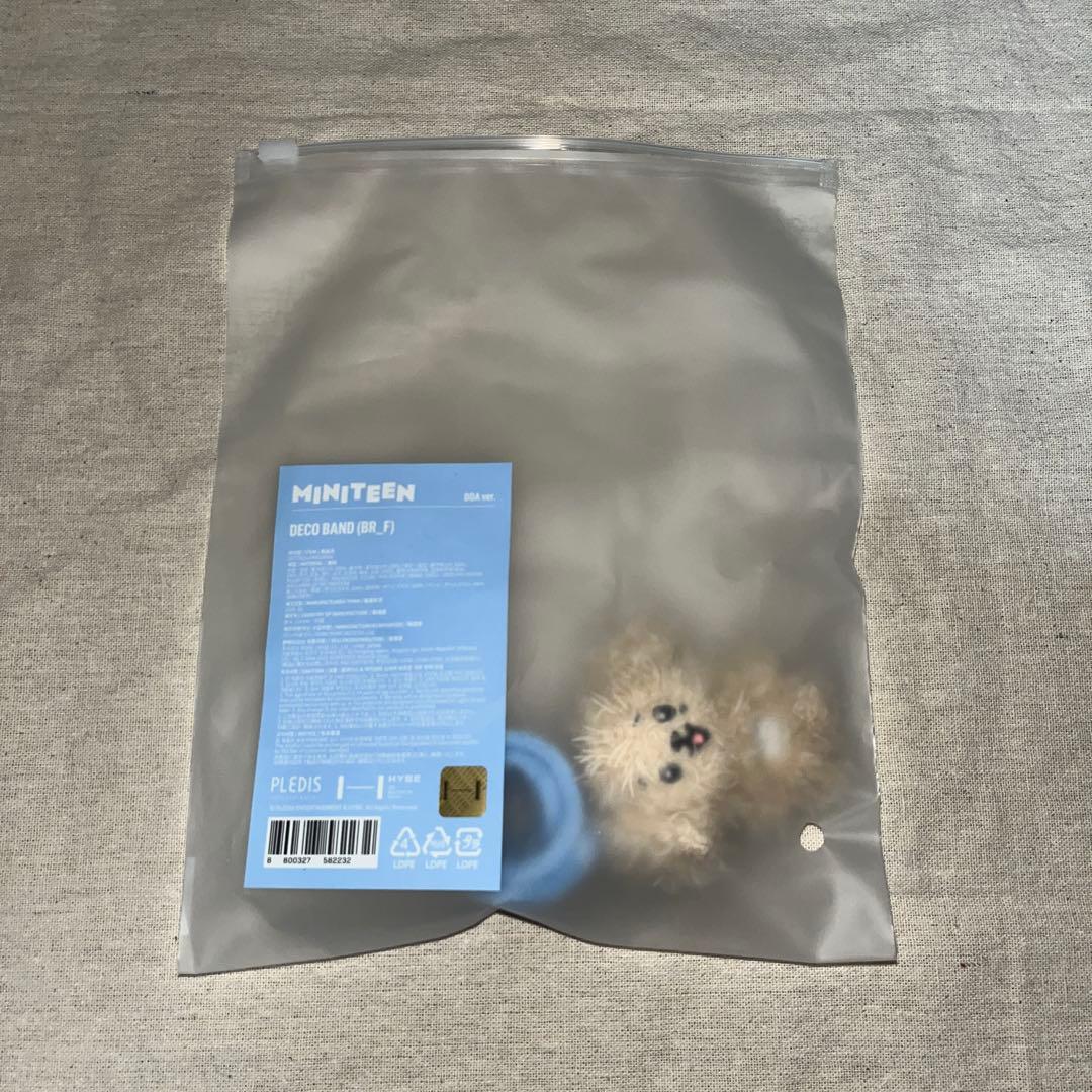 SEVENTEEN MINITEEN ドギョム ドア まとめ売り - メルカリ