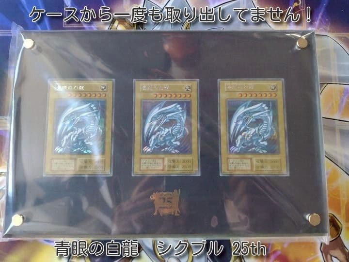 海馬セット ディスプレイ ケース スクリューダウン 25th ローダー