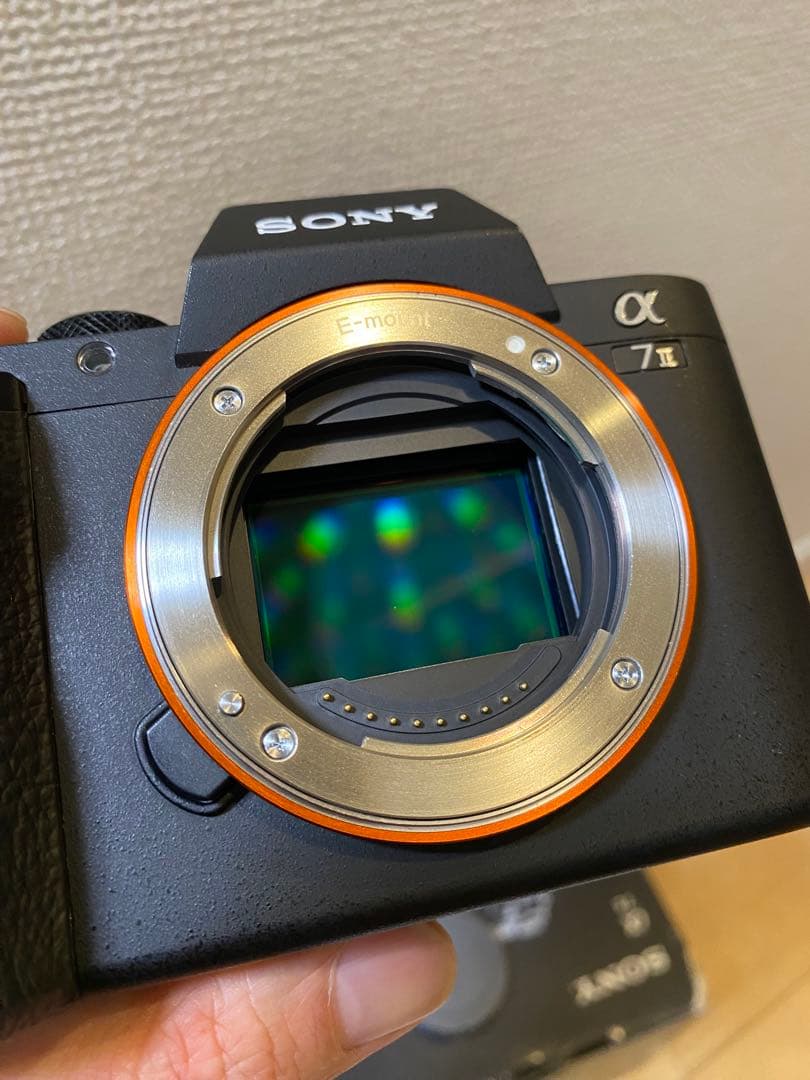 おとめねぇやん 様